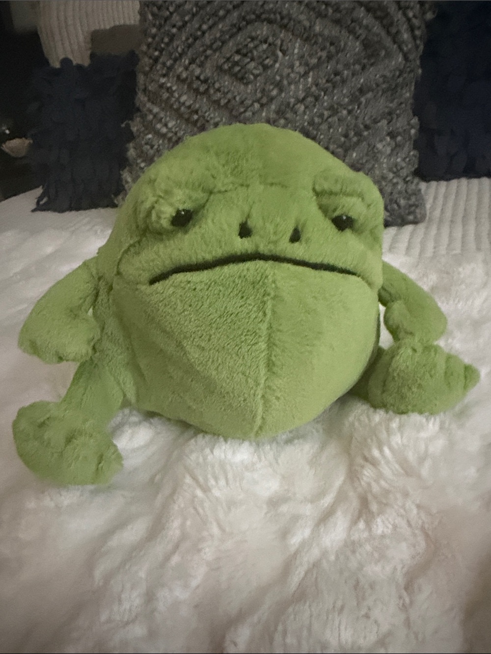 Ricky Rain Grumpy Frog Jellycat